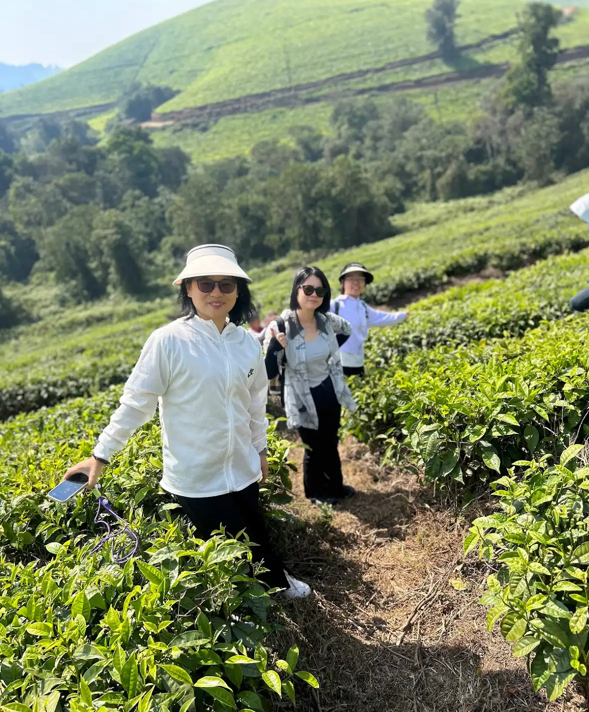 Teza Tea plantation